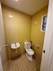 The Cairnhill (D9), Condominium #622698031